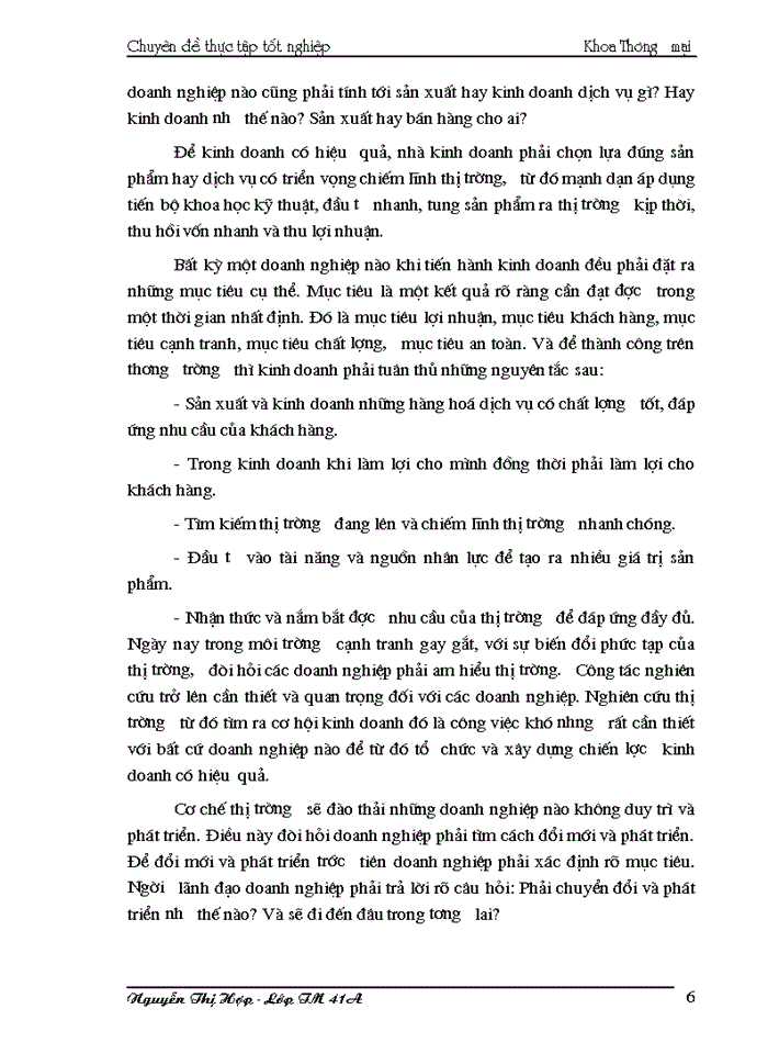 image for page THS Thực trạng hoạt động Kinh doanh của Công ty Trách nhiệm Hữu hạn Thương mại việt á