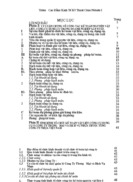 Công tác tổ chức Kế toán Nguyên vật liệu Công cụ dụng cụ tại Công ty Thương mại và Dịch Vụ Nhựa thuộc Tổng Công ty Nhựa Việt Nam