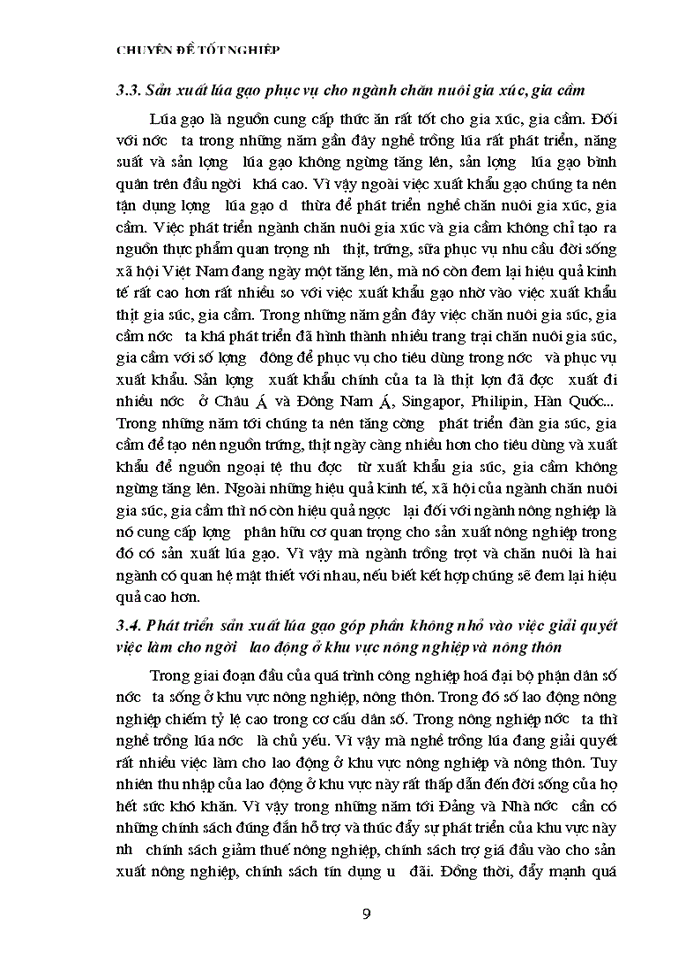 image for page Thực trạng về tình hình sản xuất và khả năng cạnh tranh của sản phẩm gạo Việt Nam