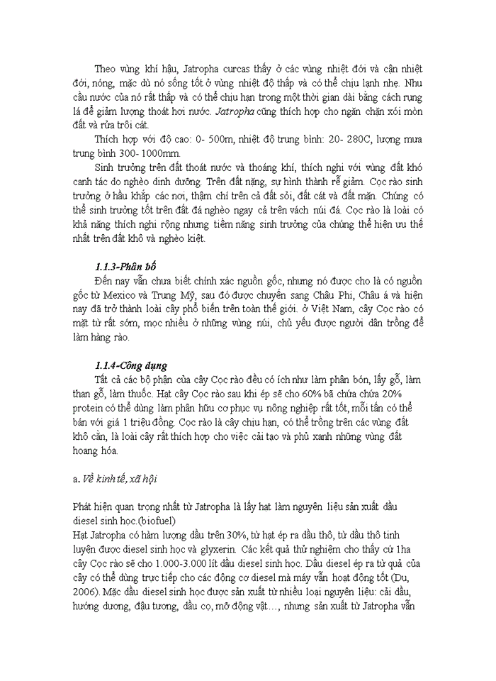 image for page Trồng cây cọc rào trên đất trống đồi núi trọc tạo công ăn việc làm tạo nguồn năng lượng sinh học bảo vệ môi trường
