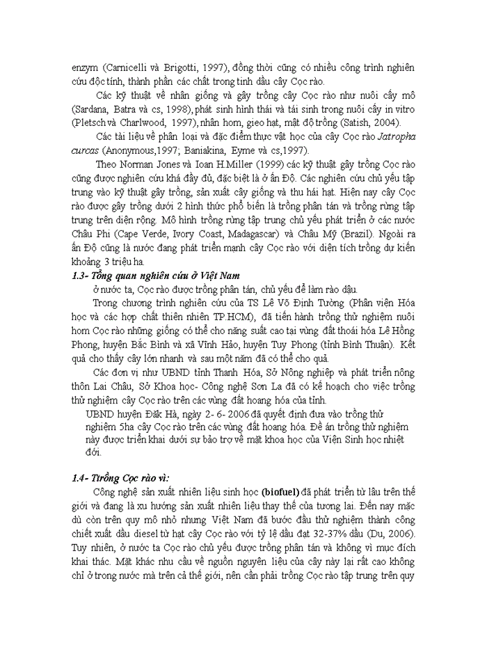 image for page Trồng cây cọc rào trên đất trống đồi núi trọc tạo công ăn việc làm tạo nguồn năng lượng sinh học bảo vệ môi trường