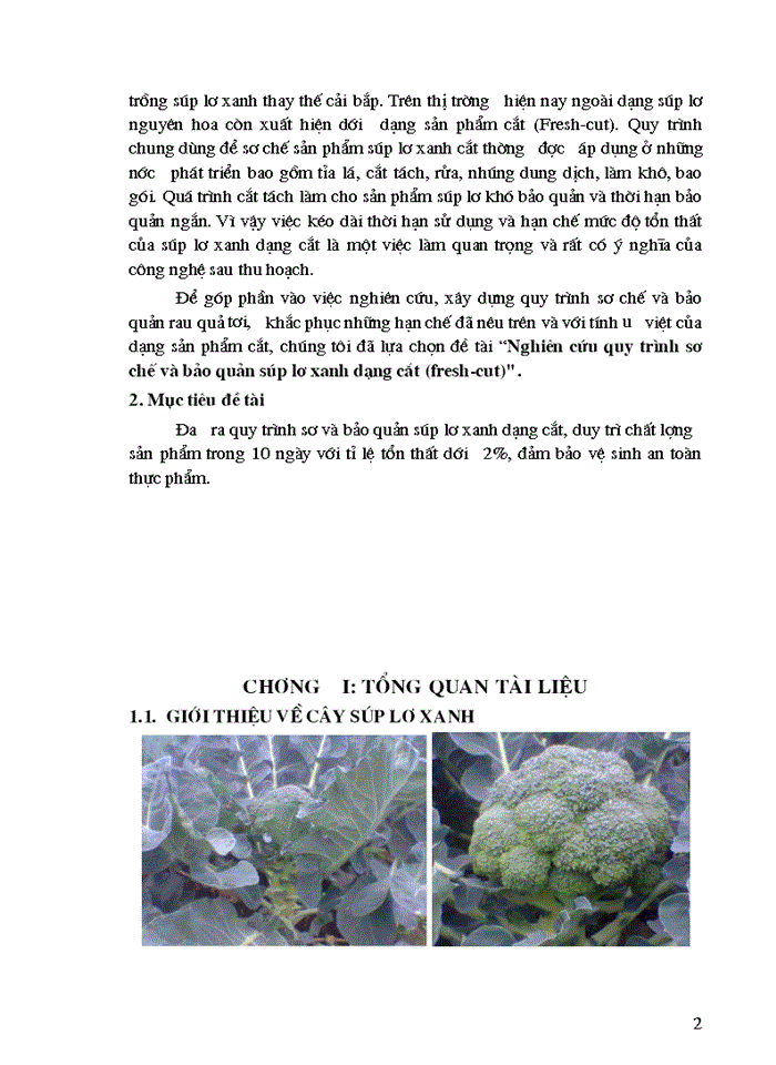 image for page Nghiên cứu quy trình sơ chế và bảo quản súp lơ xanh dạng cắt fresh-cut