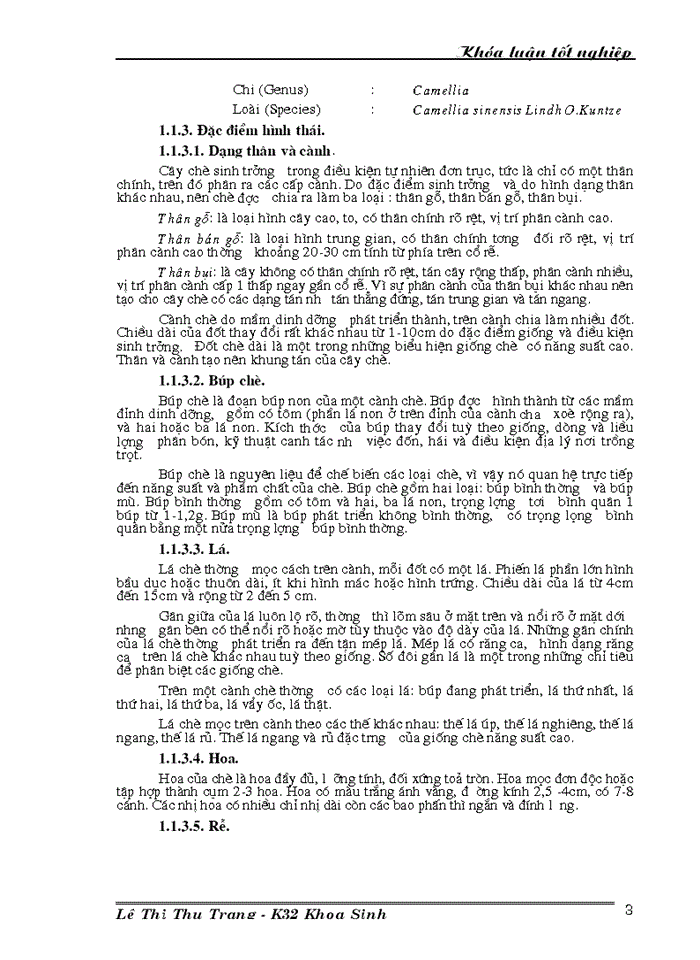 image for page Nghiên cứu đa dạng di truyền các giống dòng chè thu thập ở Việt Nam