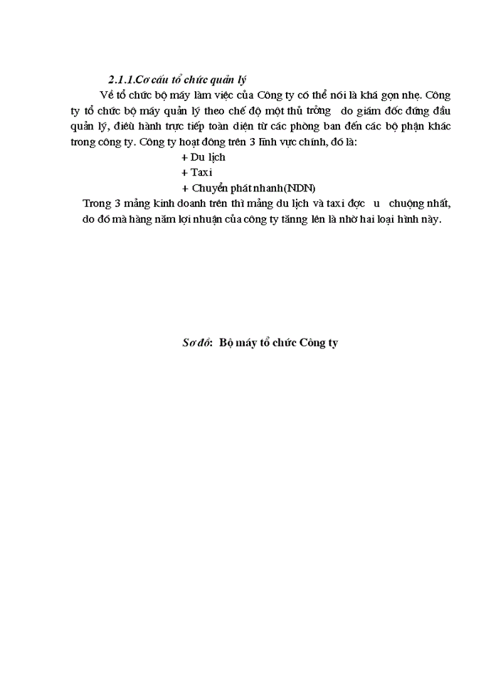 image for page Huy động vốn ở Công ty Cổ Phần phát triển Thương mại và du lịch Ngôi Sao