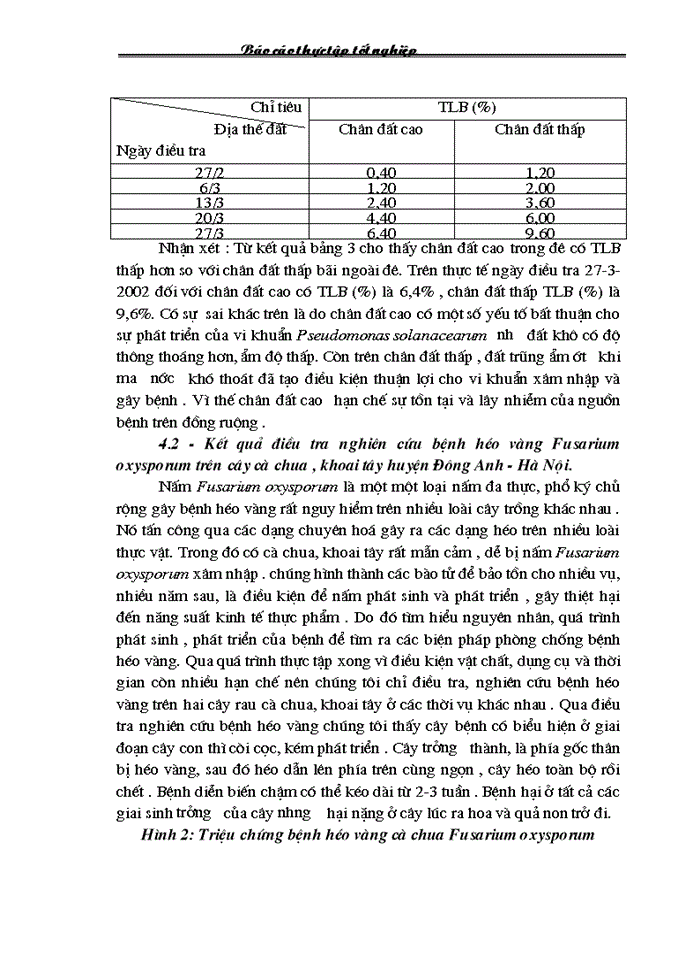 image for page Điều tra tình hình phát sinh phát triển và mức độ gây hại của bệnh héo rũ trên cây cà chua khoai tây vụ Đông Xuân vùng Đông Anh - Hà Nội