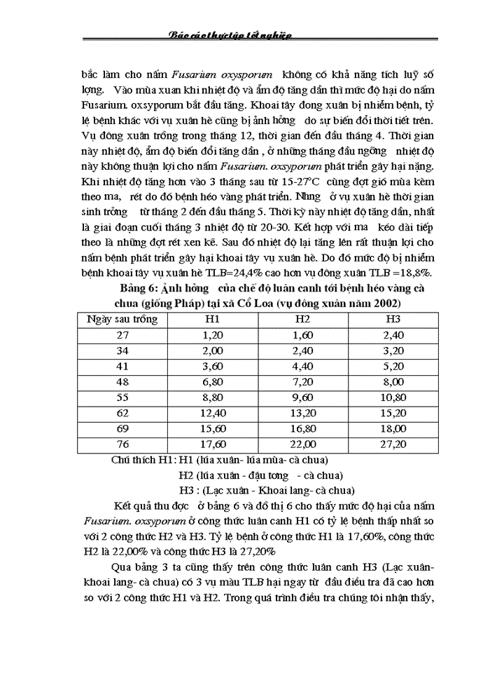 image for page Điều tra tình hình phát sinh phát triển và mức độ gây hại của bệnh héo rũ trên cây cà chua khoai tây vụ Đông Xuân vùng Đông Anh - Hà Nội