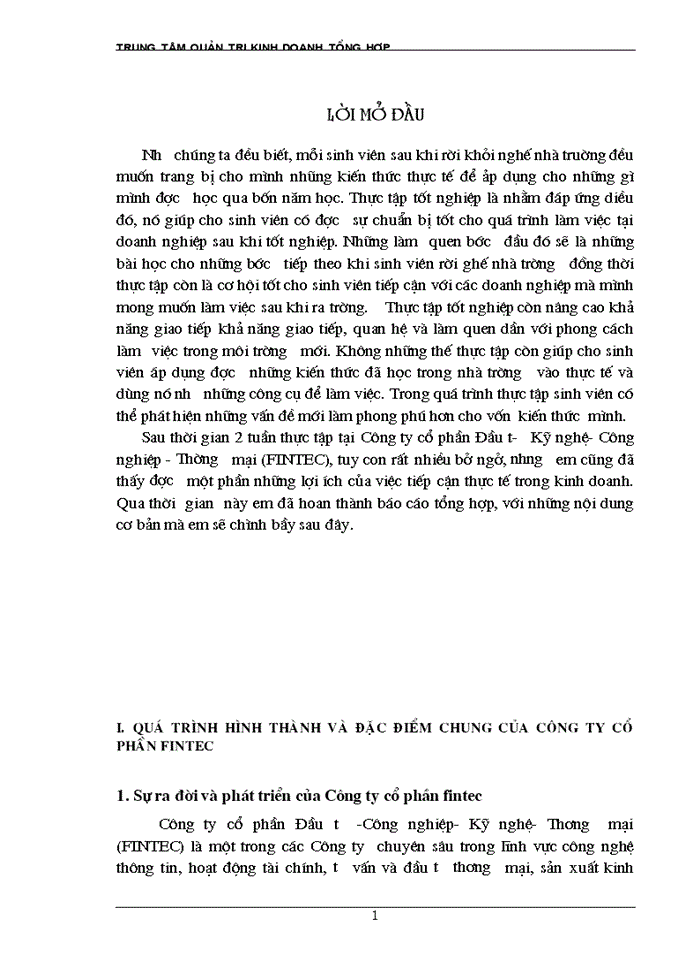 Báo cáo Công ty cổ phần fintec