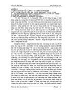 Báo cáo Tại tại Công ty Trách nhiệm Hữu hạn sản xuất và Thương mại Thái Hoà