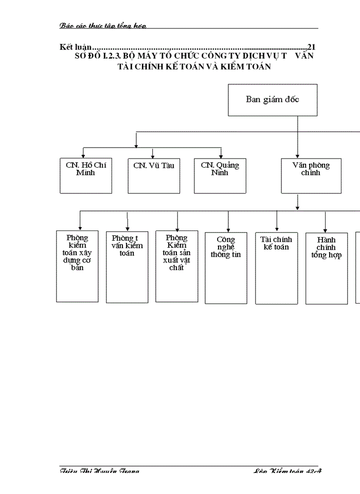 image for page Báo cáo Tại tại Công ty Dịch vụ Tư vấn Tài chính Kế toán