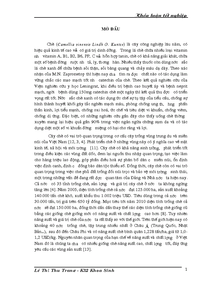 image for page Nghiên cứu đa dạng di truyền các giống dòng chè thu thập ở Việt Nam