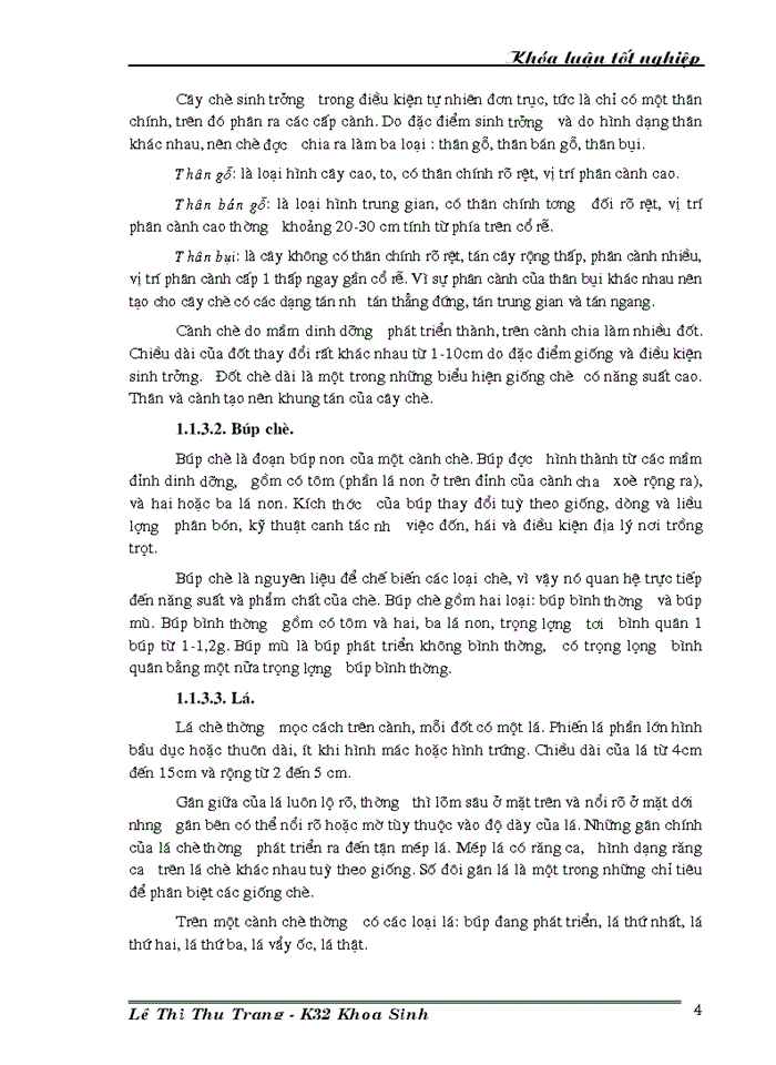 image for page Nghiên cứu đa dạng di truyền các giống dòng chè thu thập ở Việt Nam