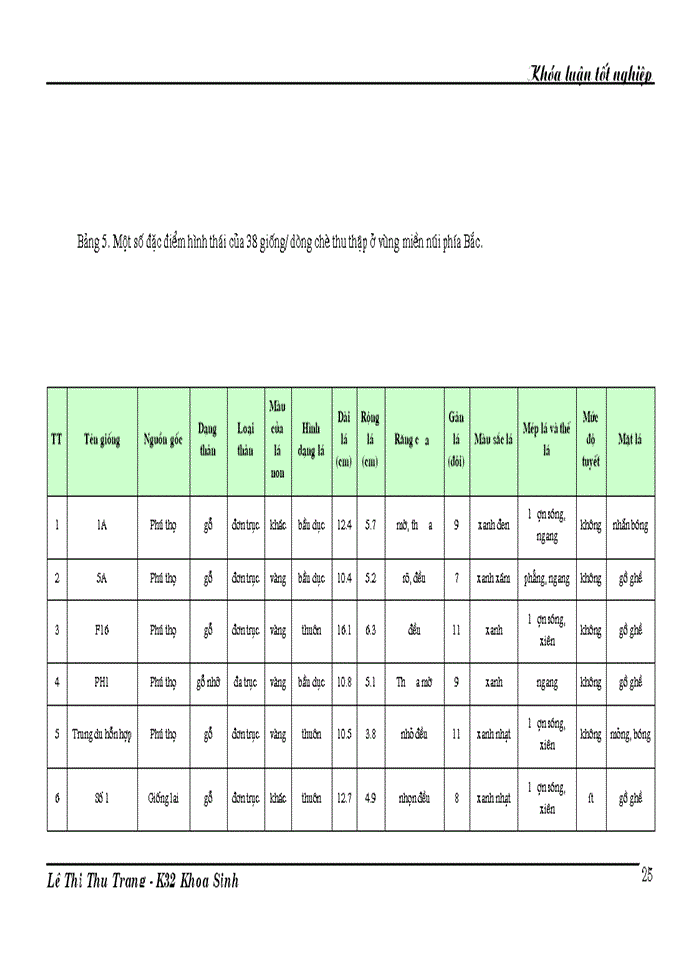 image for page Nghiên cứu đa dạng di truyền các giống dòng chè thu thập ở Việt Nam