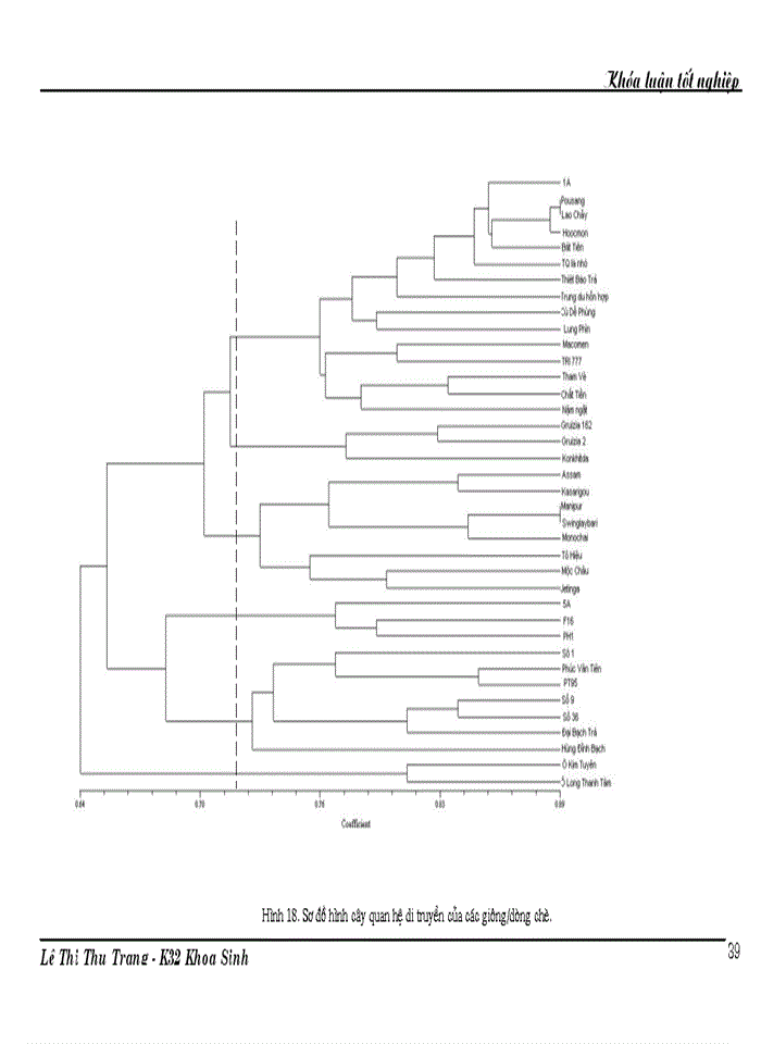image for page Nghiên cứu đa dạng di truyền các giống dòng chè thu thập ở Việt Nam