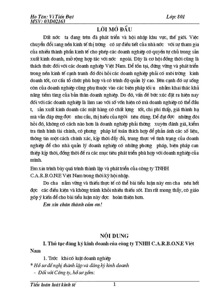 image for page Quá trình thành lập và phát triển của Công ty Trách nhiệm Hữu hạn C A R B O N E Việt Nam trong thời kỳ hội nhập
