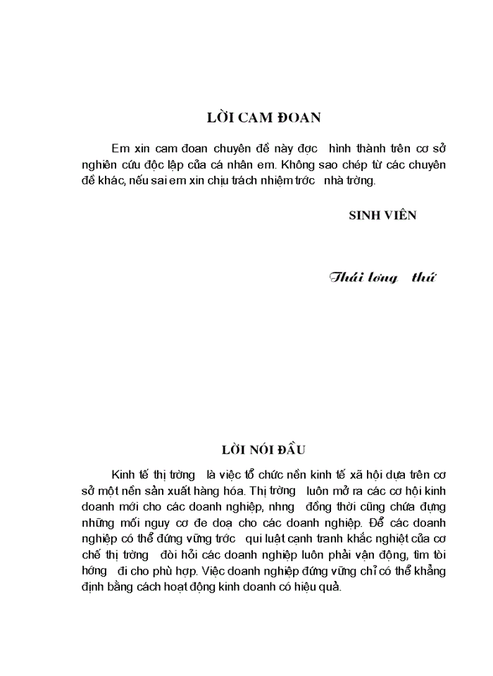 image for page Một số biện pháp chủ yếu nhằm nâng cao hiệu quả Sản xuất Kinh doanh ở Công ty Trách nhiệm Hữu hạn Thái Dương