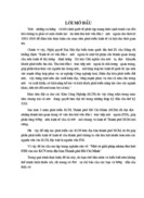 Một số Giải pháp nhằm thu hút FDI vào các KCông nghiệp trên địa bàn Thành phố Hồ Chí Minh