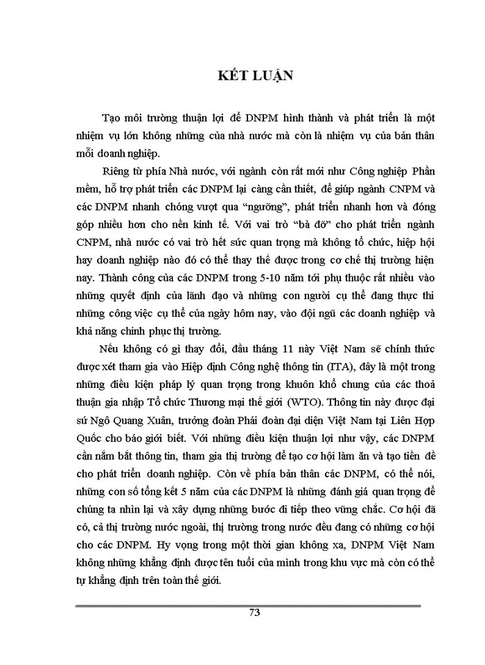 image for page Sự hình thành và phát triển của doanh nghiệp phần mềm Việt Nam