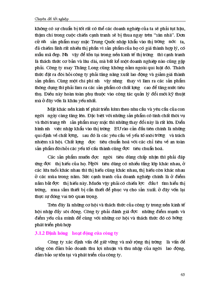 image for page Giải pháp chủ yếu tạo lập vốn cho hoạt động Sản xuất Kinh doanh ở Công ty cổ phần May Thăng Long