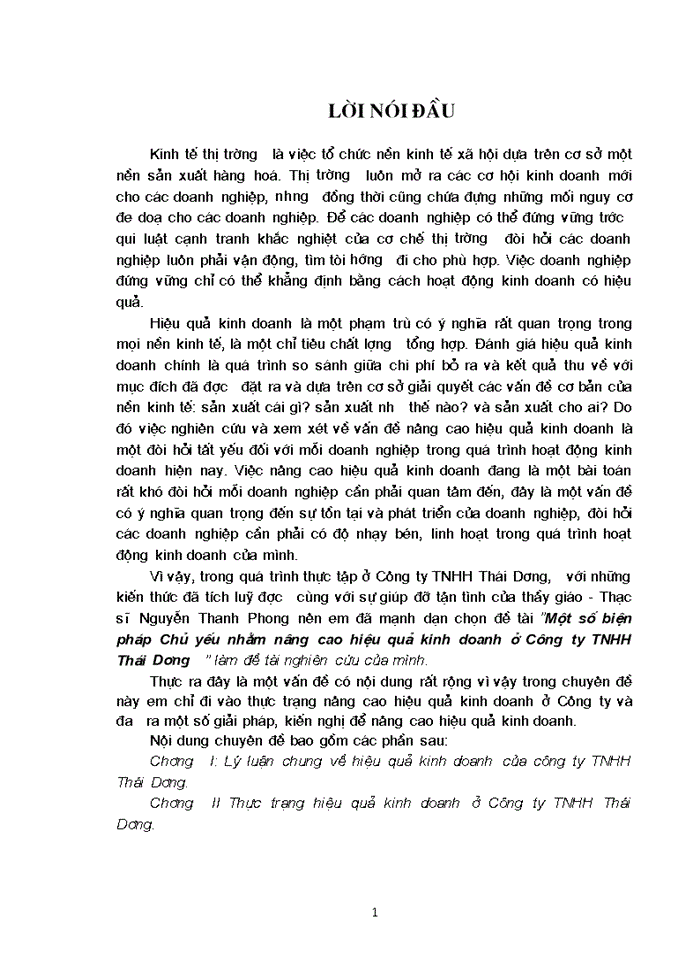 Một số biện pháp Chủ yếu nhằm nâng cao hiệu quả Kinh doanh ở Công ty Trách nhiệm Hữu hạn Thái Dương