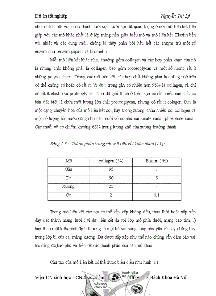 image for page Nghiên cứu công nghệ sản xuất sản phẩm thịt lợn nấu đông đóng hộp