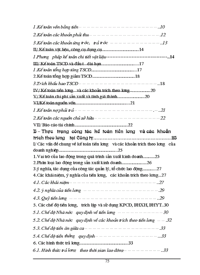 image for page Công tác tổ chức Kế toán tiền lương và các khoản trích nộp theo lương tại Công ty Mặt Trời Việt