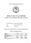 Báo cáo tài chính Công ty Xi măng Hoàng Thạch