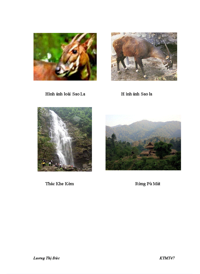 image for page Sử dụng phương pháp đánh giá ngẫu nhiên CVM để đánh giá giá trị bảo tồn loài Sao La ở Vườn Quốc Gia Pù Mát tỉnh Nghệ An