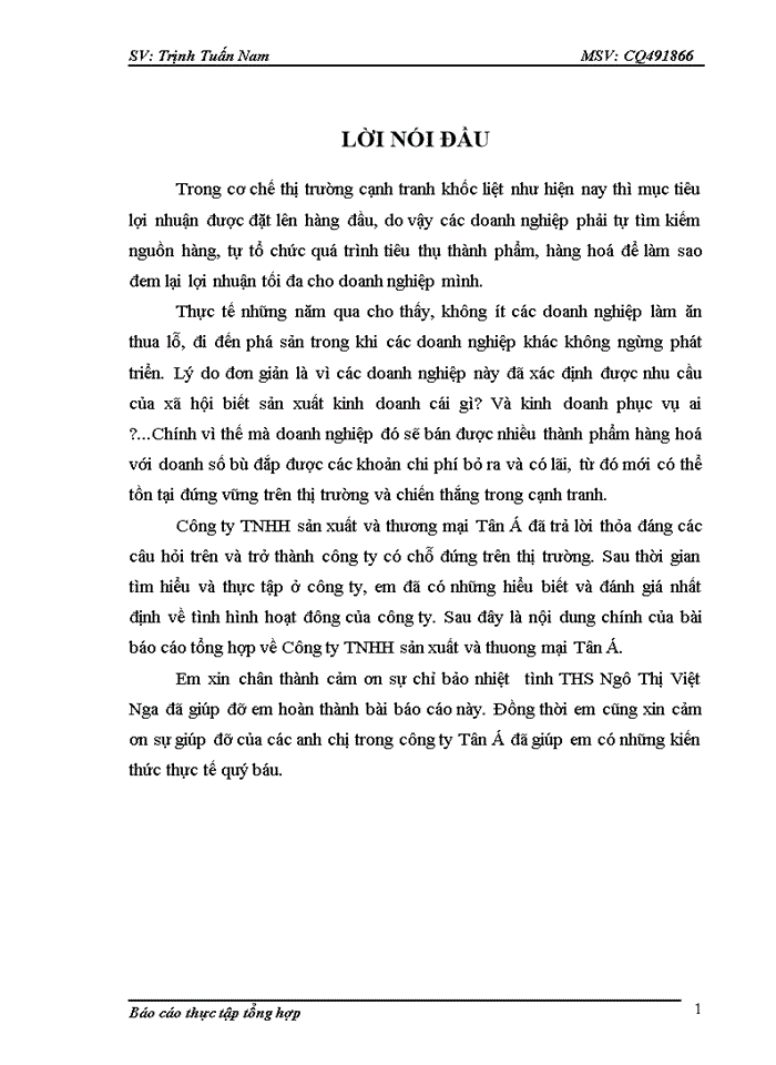 image for page Báo cáo thực tập tại Công ty Trách nhiệm Hữu hạn Sản xuất và Thương mại Tân Á