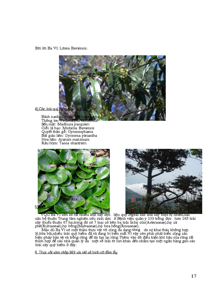 image for page Báo cáo tổng hợp Vườn Quốc gia Ba Vì