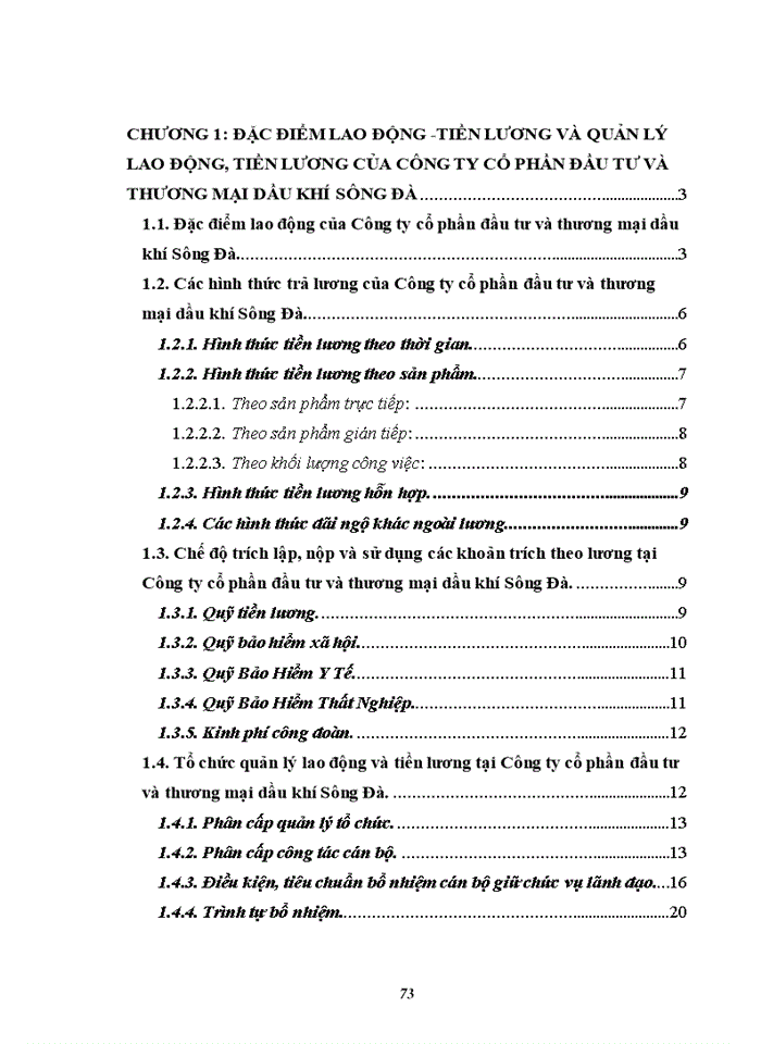 image for page Hoàn thiện Kế toán tiền lương và các khoản trích theo lương tại Công ty cổ phần đầu tư và thương mại Dầu khí Sông Đà