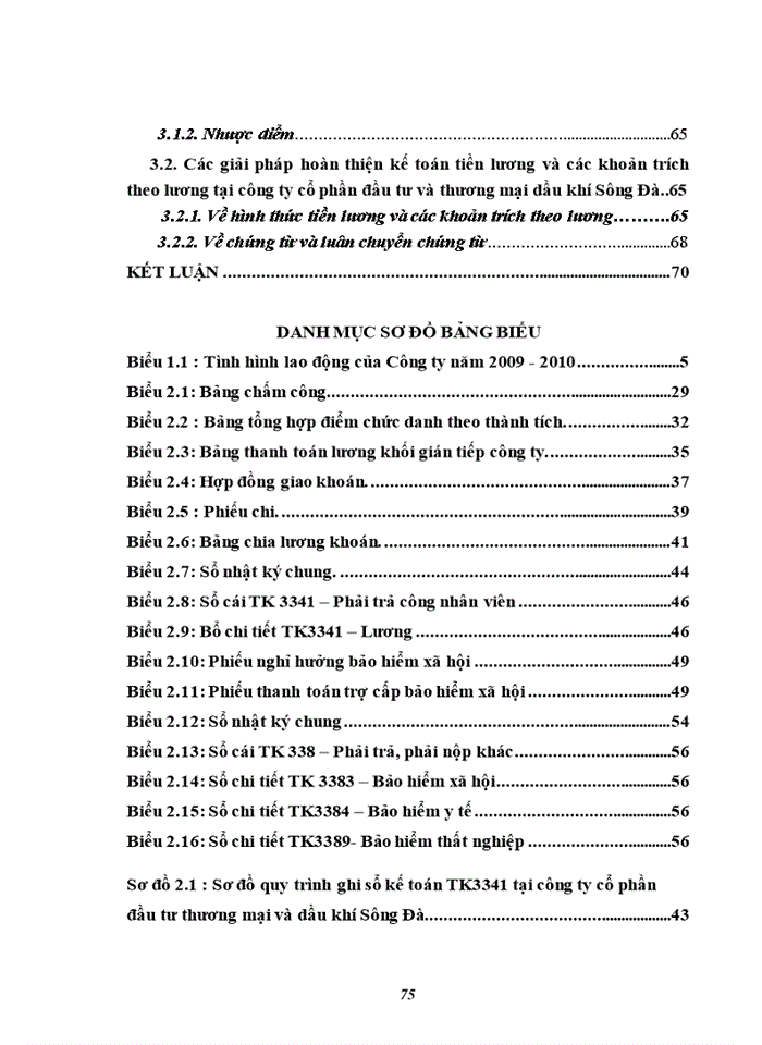 image for page Hoàn thiện kế toán tiền lương và các khoản trích theo lương tại Công ty cổ phần đầu tư và thương mại dầu khí Sông Đà