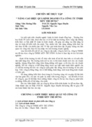 Nâng cao hiệu quả Kinh doanh của Công ty Trách nhiệm hữu hạn Một thành viên Trí Dũng