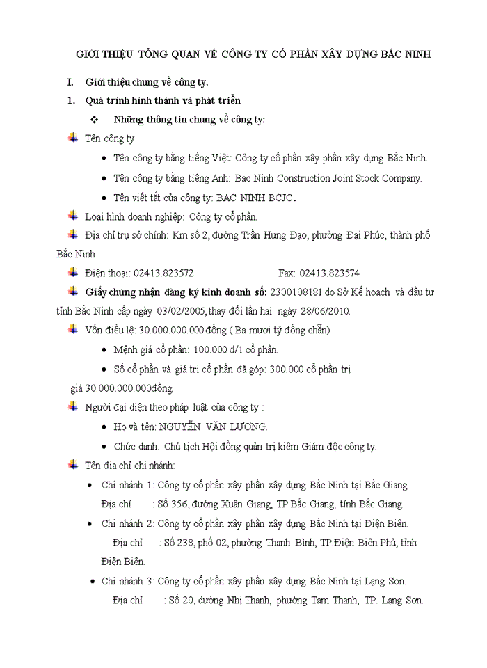 image for page Báo cáo CÔNG TY CỔ PHẦN XÂY DỰNG BẮC NINH