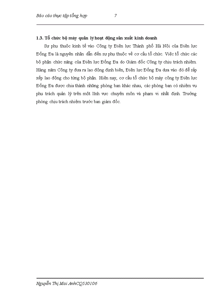 image for page Báo cáo TỔ CHỨC BỘ MÁY KẾ TOÁN VÀ HỆ THỐNG KẾ TOÁN TẠI CÔNG TY ĐIỆN LỰC ĐỐNG ĐA