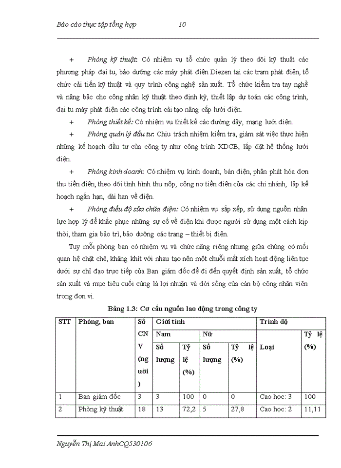 image for page Báo cáo TỔ CHỨC BỘ MÁY KẾ TOÁN VÀ HỆ THỐNG KẾ TOÁN TẠI CÔNG TY ĐIỆN LỰC ĐỐNG ĐA