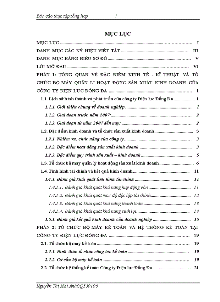 image for page Báo cáo TỔ CHỨC BỘ MÁY KẾ TOÁN VÀ HỆ THỐNG KẾ TOÁN TẠI CÔNG TY ĐIỆN LỰC ĐỐNG ĐA