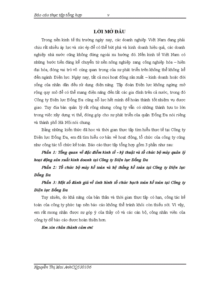 image for page Báo cáo TỔ CHỨC BỘ MÁY KẾ TOÁN VÀ HỆ THỐNG KẾ TOÁN TẠI CÔNG TY ĐIỆN LỰC ĐỐNG ĐA
