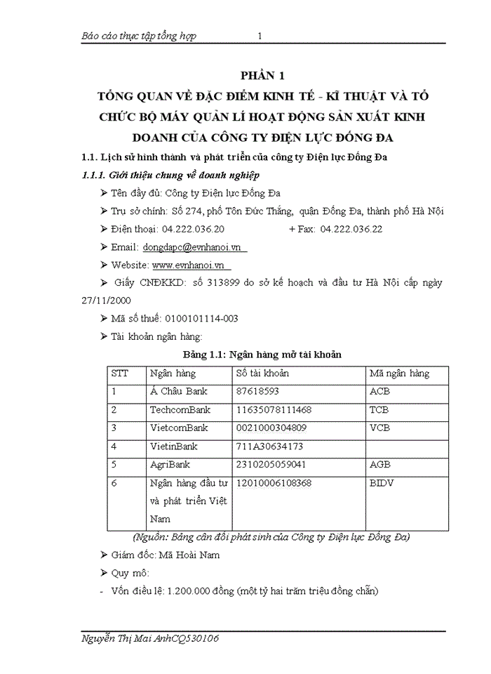 image for page Báo cáo TỔ CHỨC BỘ MÁY KẾ TOÁN VÀ HỆ THỐNG KẾ TOÁN TẠI CÔNG TY ĐIỆN LỰC ĐỐNG ĐA