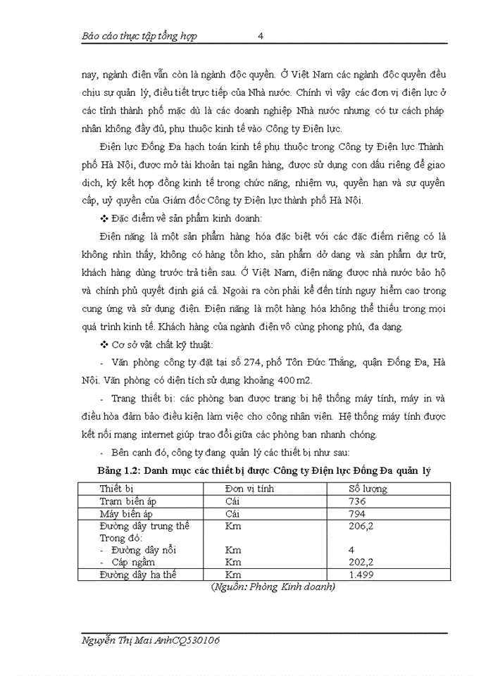 image for page Báo cáo TỔ CHỨC BỘ MÁY KẾ TOÁN VÀ HỆ THỐNG KẾ TOÁN TẠI CÔNG TY ĐIỆN LỰC ĐỐNG ĐA