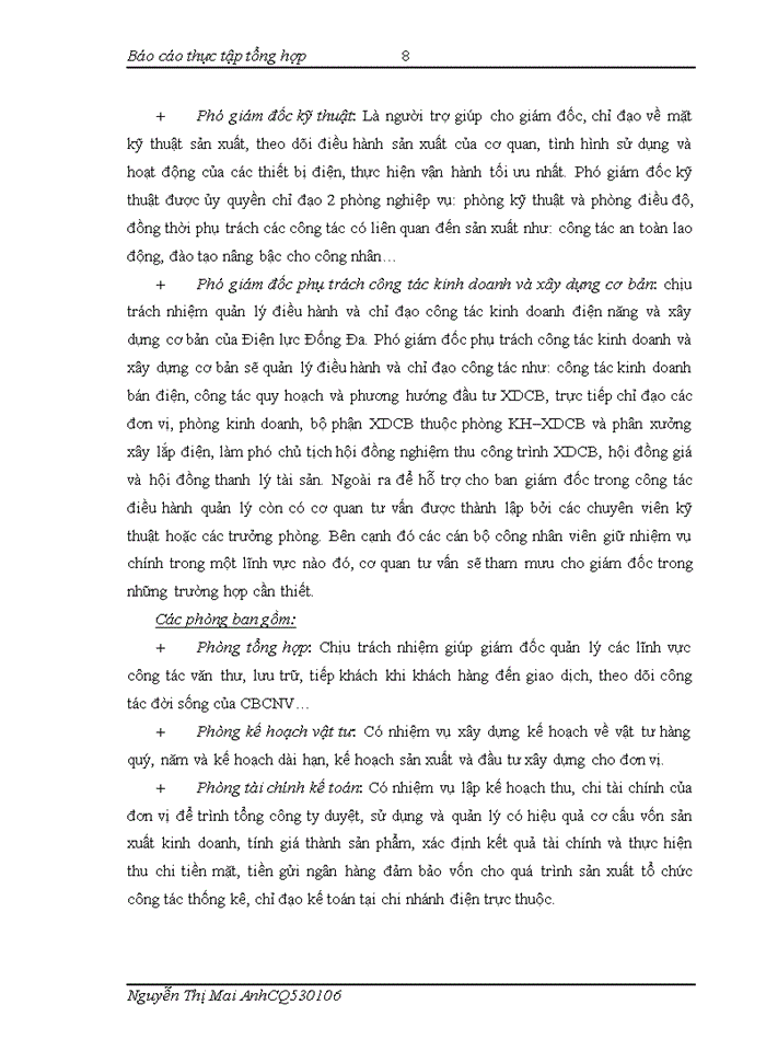image for page Báo cáo TỔ CHỨC BỘ MÁY KẾ TOÁN VÀ HỆ THỐNG KẾ TOÁN TẠI CÔNG TY ĐIỆN LỰC ĐỐNG ĐA