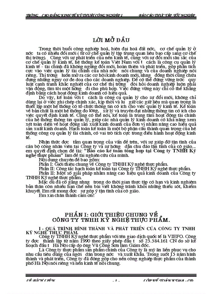 image for page Báo cáo kế toán tổng hợp tại C ng ty Trách nhiệm hữu hạn Kü nghÖ thùc phÈm