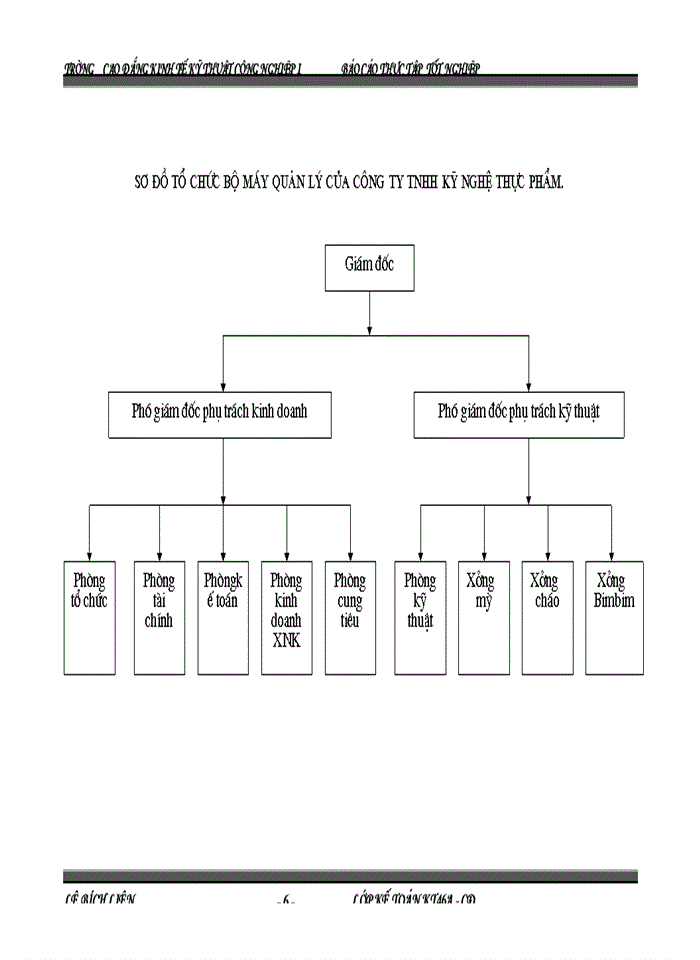 image for page Báo cáo kế toán tổng hợp tại C ng ty Trách nhiệm hữu hạn Kü nghÖ thùc phÈm