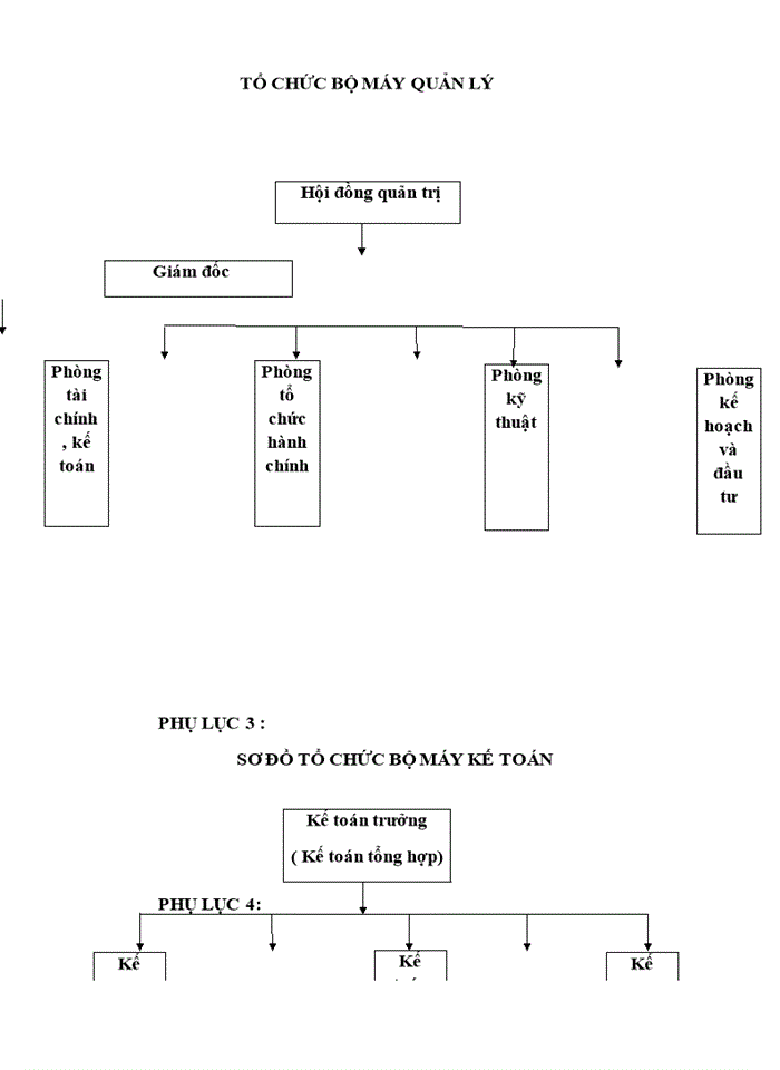 image for page Báo cáo tại Công ty Trách nhiệm hữu hạn sản xuất nhập khẩu Tân Nhật Minh