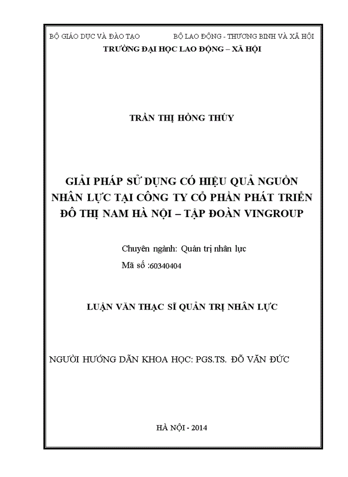 ThS Giải pháp sử dụng có hiệu quả nguồn nhân lực tại Công ty cổ phần phát triển đô thị Nam Hà Nội -Tập đoàn VINGROUP