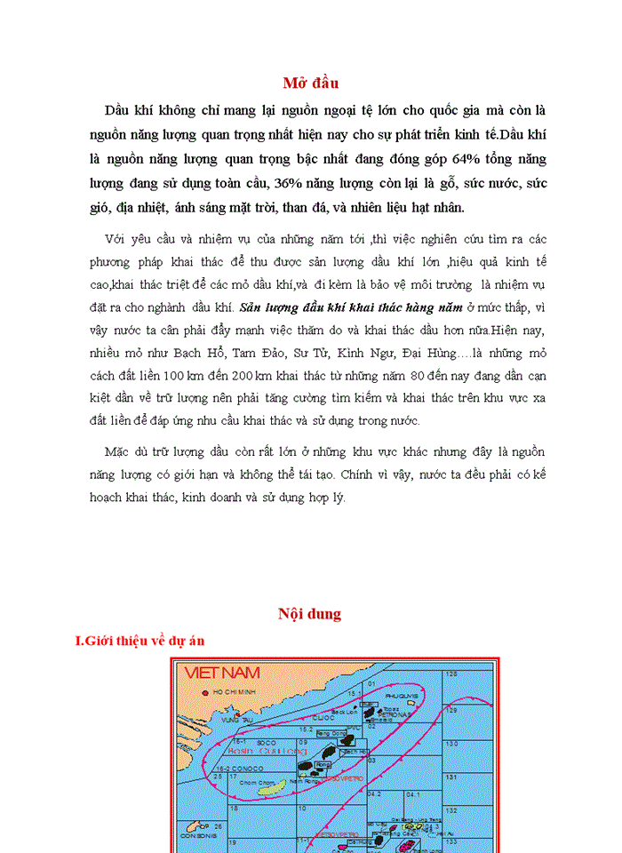 image for page LẬP VÀ QUẢN LÝ DỰ ÁN ĐẦU TƯ DỰ ÁN KHAI THÁC DẦU KHÍ TẠI MỎ TAM ĐẢO 03