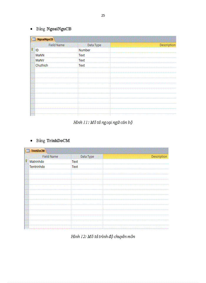 image for page Phân tích thiết kế hệ thống quản lý Nhân viên công ty Proinven Patenông thôntranslations