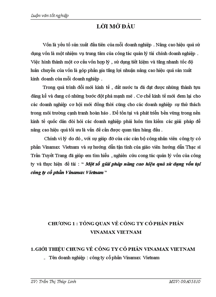 Một số giải pháp nâng cao hiệu quả sử dụng vốn tại công ty cổ phần Vinamax Vietnam
