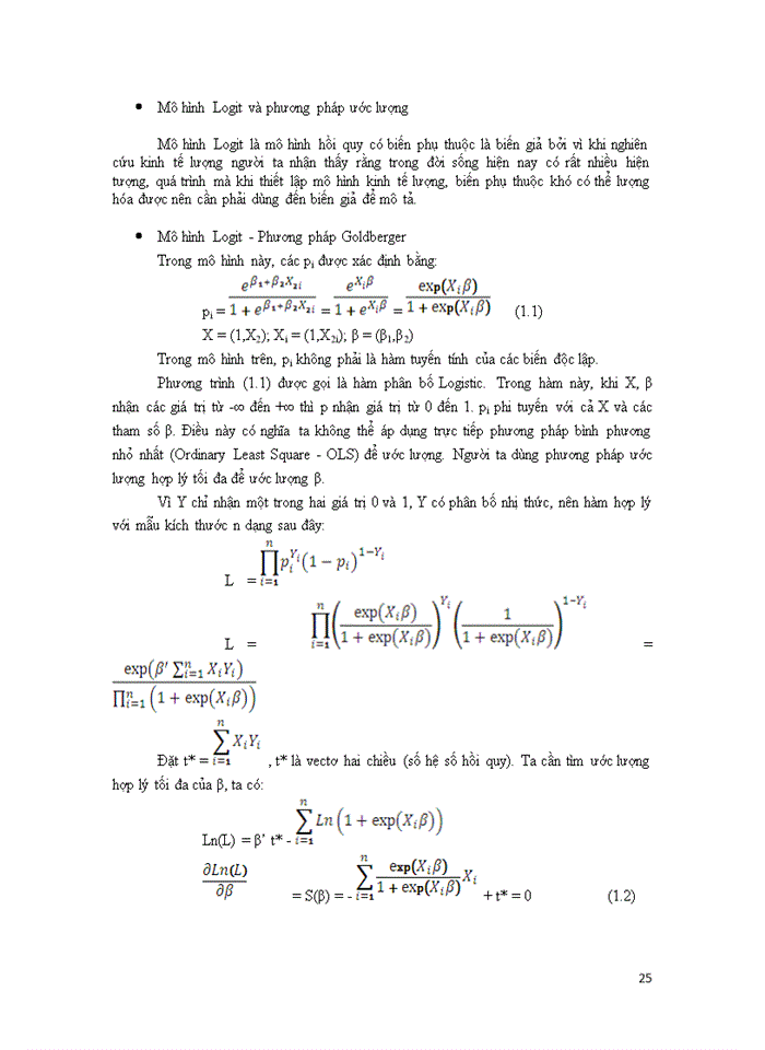 image for page Ứng dụng mô hình Logit trong xếp hạng tín dụng tại ngân hàng thương mại cổ phần các doanh nghiệp ngoài quốc doanh VPBank