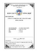 Báo cáo Công ty Trách nhiệm hữu hạn Xuất nhập khẩu thủ công mỹ nghệ Đông Thành được thành lập năm 2005