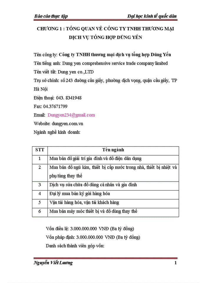 image for page Báo cáo Công ty Trách nhiệm hữu hạn thương mại dịch vụ tổng hợp Dũng Yến